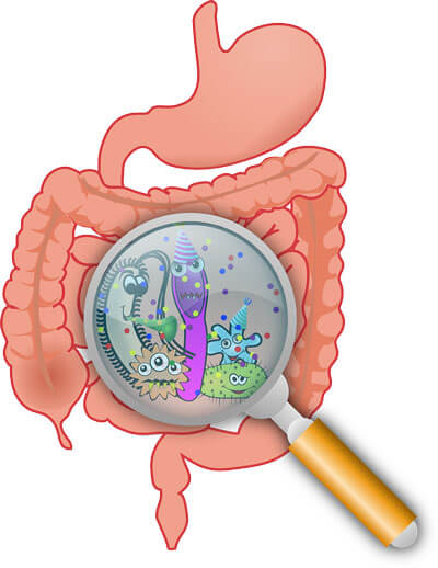 Cartoon drawing of gut bacteria